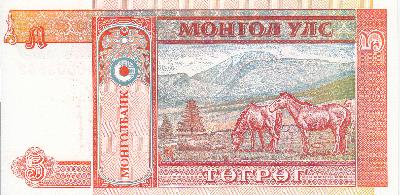 Beschrijving achterzijde: HORSES